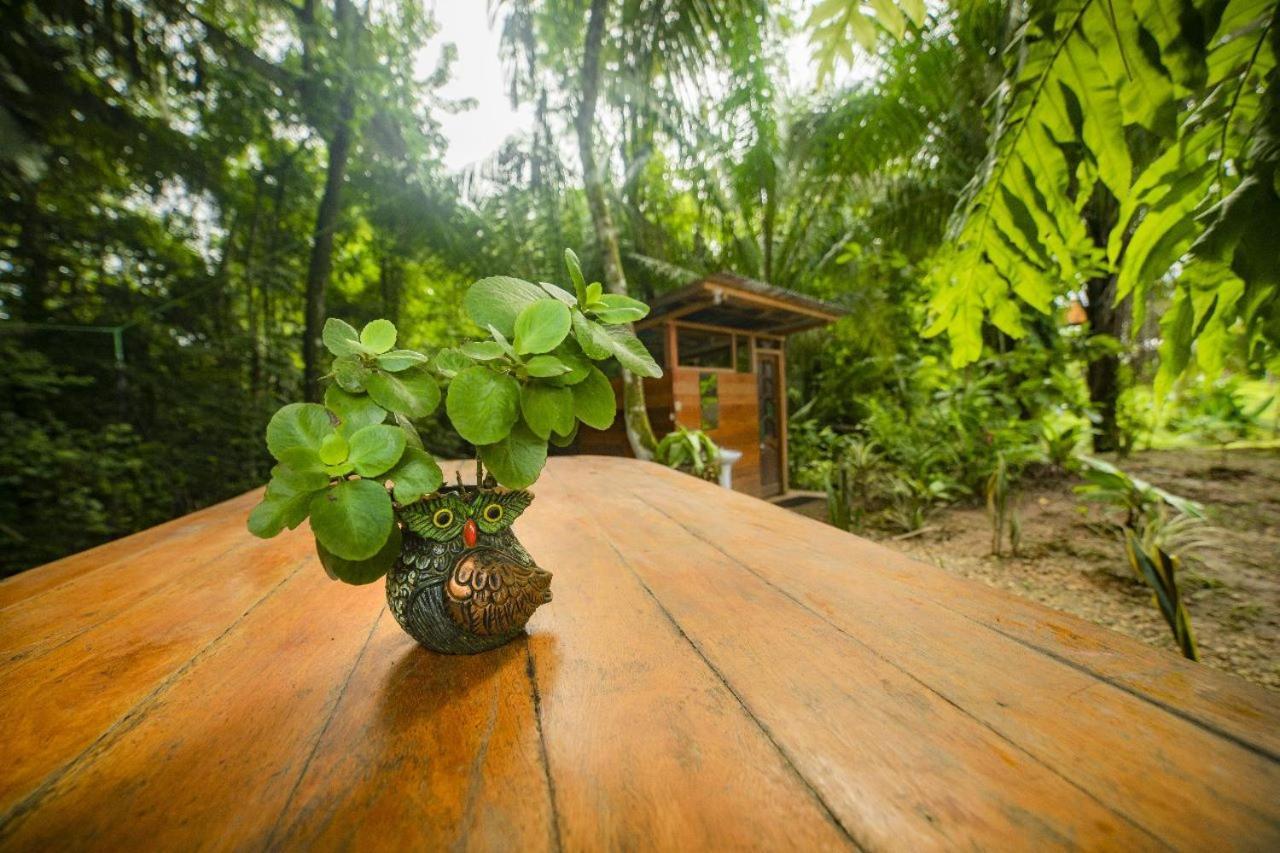 Отель Rosa'S House Пуэрто-Мальдонадо Экстерьер фото